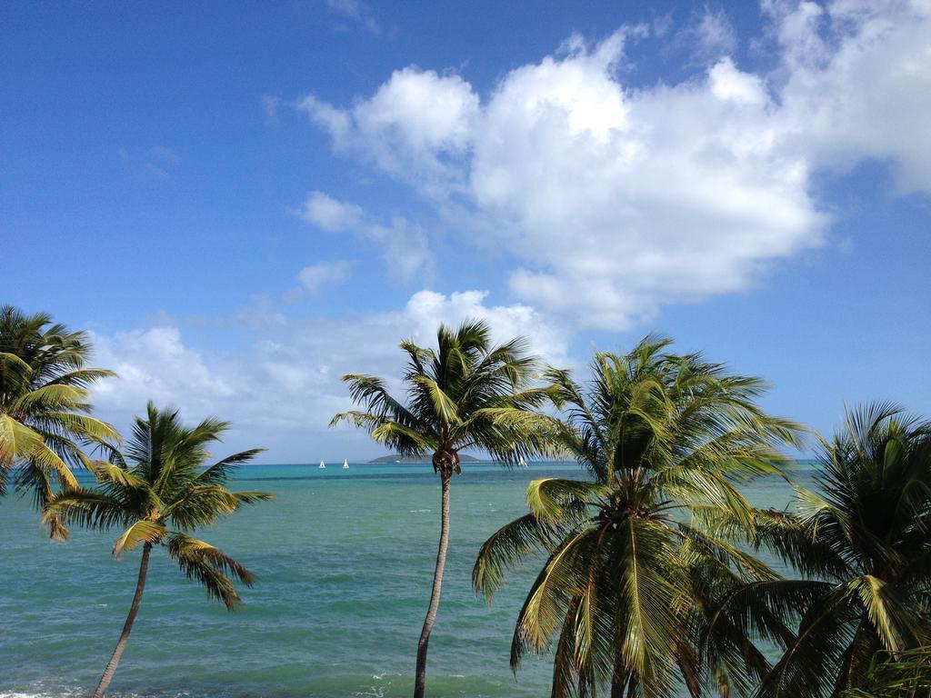 Ocean View Studio Marina Lanais Fajardo Rum bild